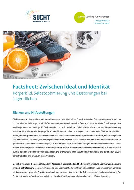 Factsheet: Zwischen Ideal und Identität